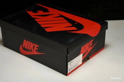 JORDAN 1 NRG AIR RETRO HIGH "IGLOO" OG 861428-100 0717
